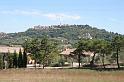 Montepuchiano_fern